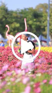 BIB:  <button type="button" onclick="openModal(27588541)" class="btn btn-primary btn-sm float-right" data-toggle="modal" data-target=".modal-high-quality">
                <i class="fa fa-download"></i> Download
                </button>